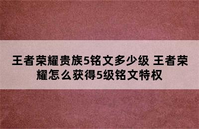 王者荣耀贵族5铭文多少级 王者荣耀怎么获得5级铭文特权